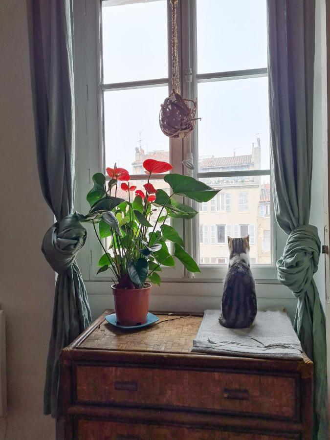 Jolie Chambre Dans Appartement Cosy En Plein Centre Marseille Bagian luar foto